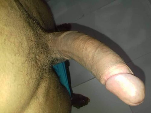 Fran69anales