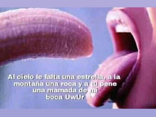 Rm_madera94