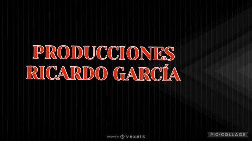 Ricardo10