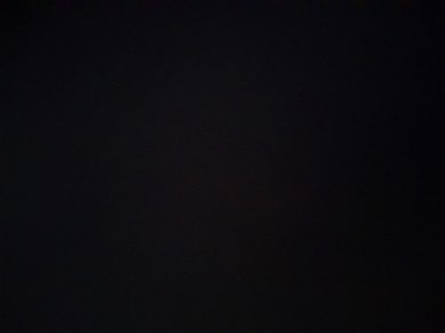 Evelyn120673