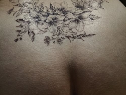 contesse