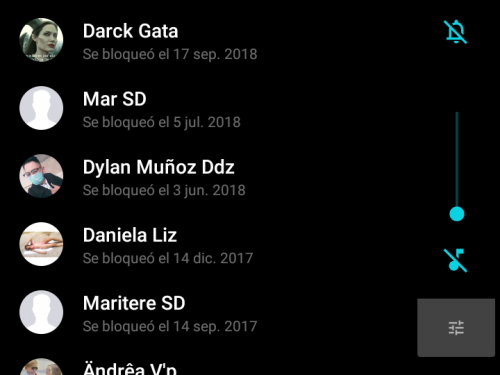 Erika22