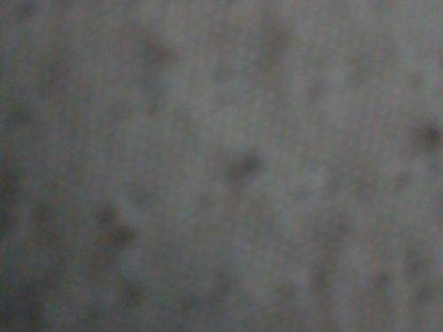 tuputitomimoso2