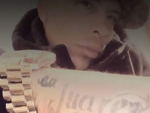 Carls6663elmz