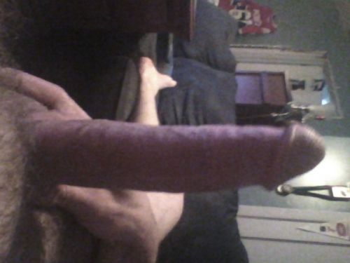 stevoo