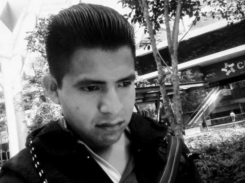 Chipe