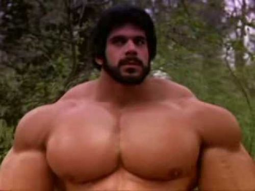 renato1000