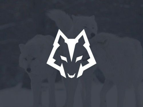 TheKing59