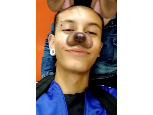 David_Rasca_Gallos69