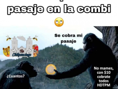 josesin01