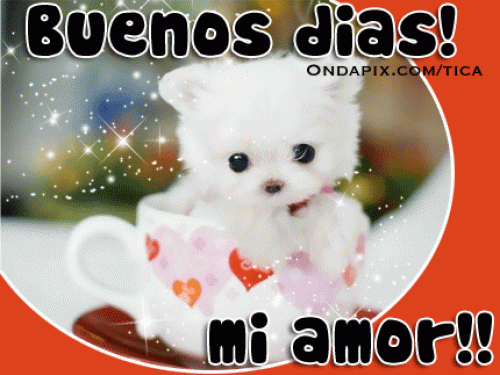 Jose2190