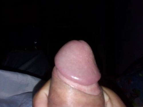 Pezlo0118