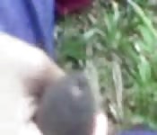 Bite dégainée au grand air