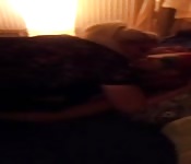 Moretta scopa sul letto