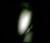 Una scopata vista in primo piano